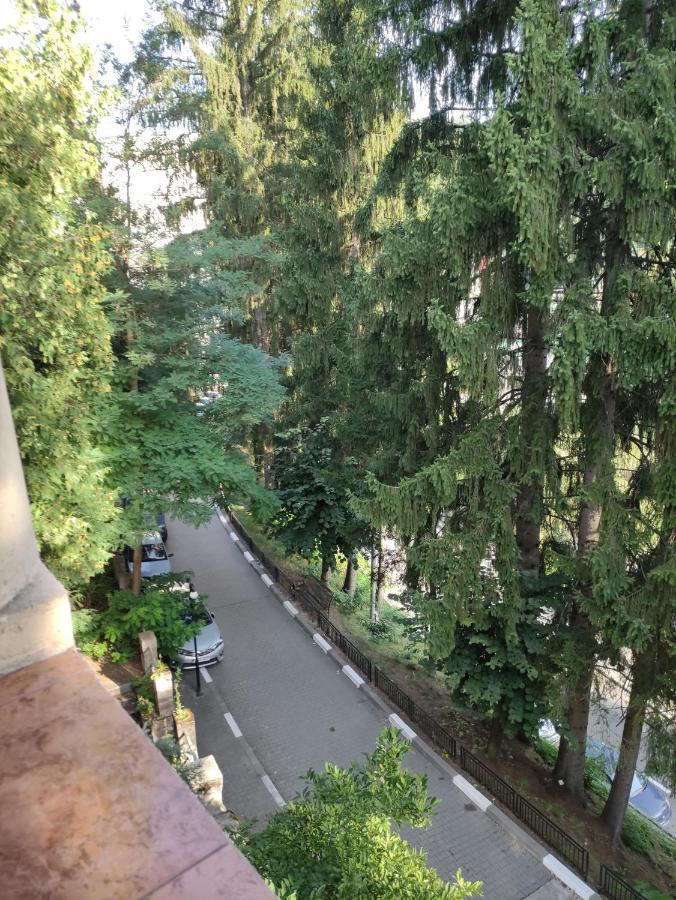 Casa Rosa Βίλα Băile Olăneşti Εξωτερικό φωτογραφία