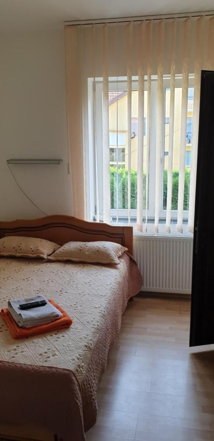 Casa Rosa Βίλα Băile Olăneşti Εξωτερικό φωτογραφία