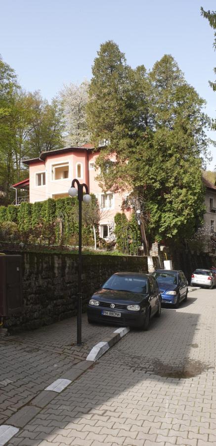 Casa Rosa Βίλα Băile Olăneşti Εξωτερικό φωτογραφία