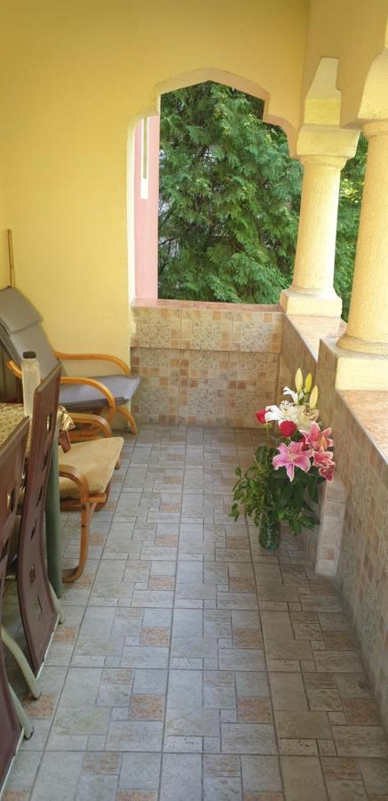 Casa Rosa Βίλα Băile Olăneşti Εξωτερικό φωτογραφία