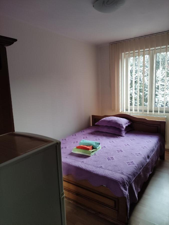Casa Rosa Βίλα Băile Olăneşti Εξωτερικό φωτογραφία