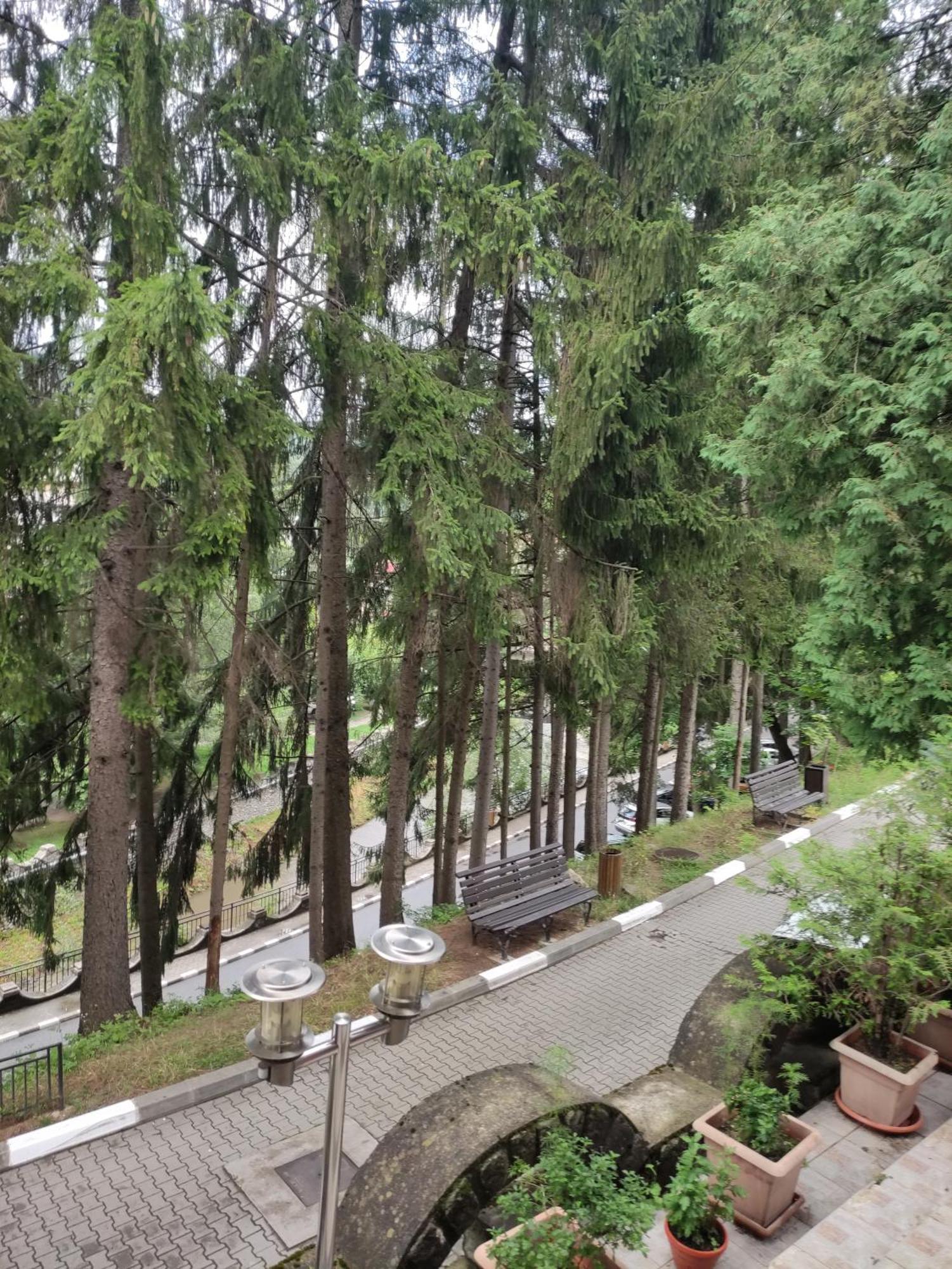 Casa Rosa Βίλα Băile Olăneşti Εξωτερικό φωτογραφία