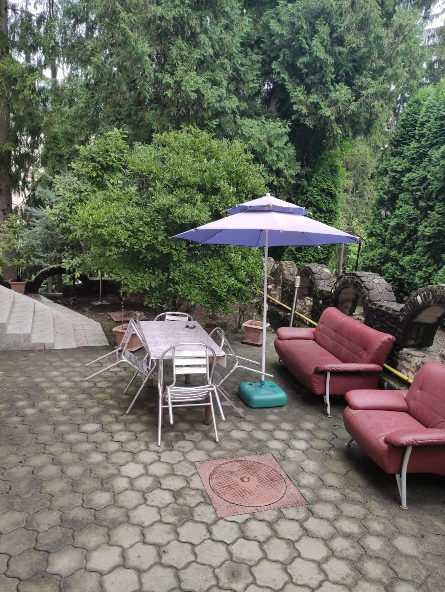 Casa Rosa Βίλα Băile Olăneşti Εξωτερικό φωτογραφία