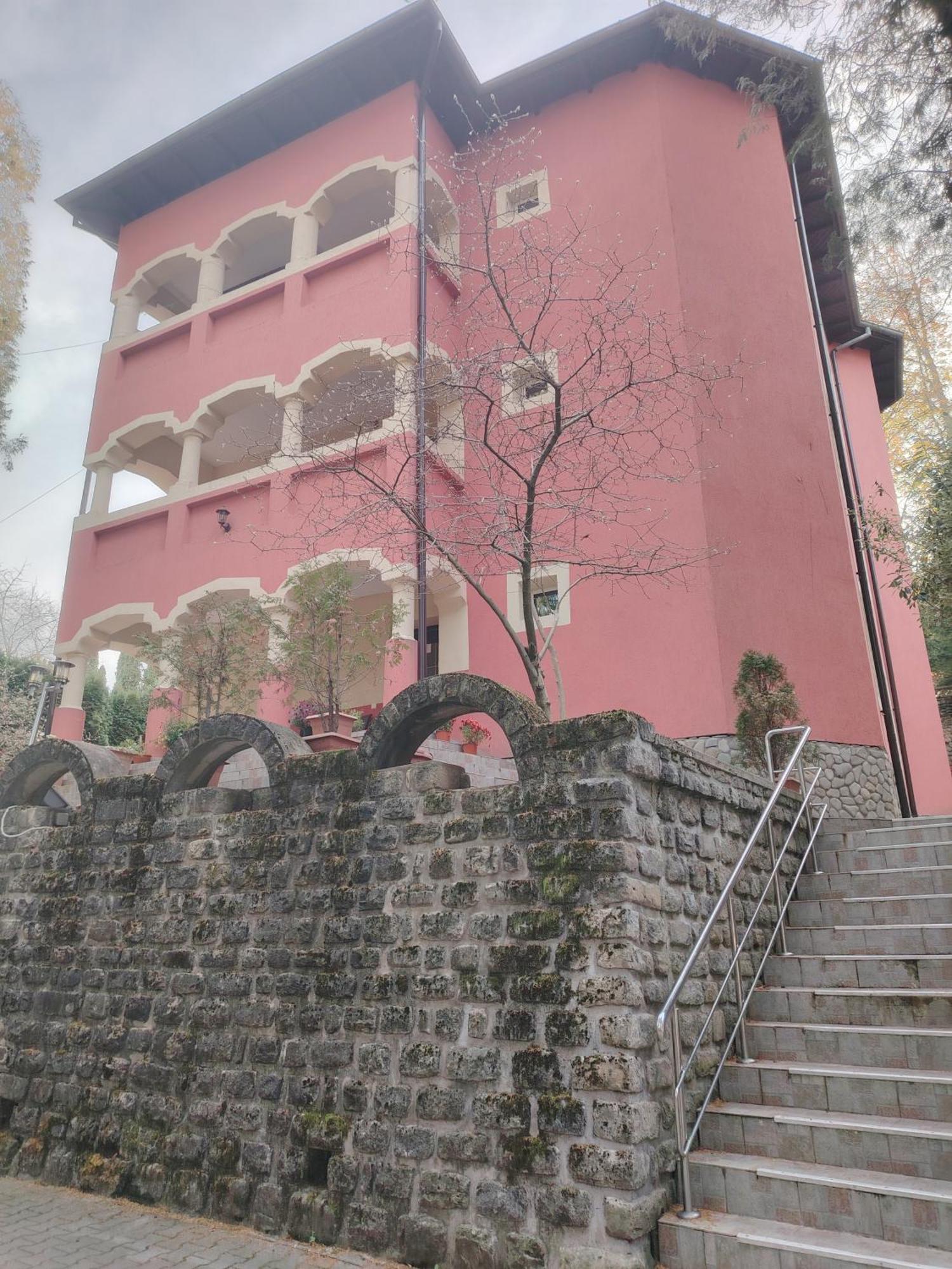 Casa Rosa Βίλα Băile Olăneşti Δωμάτιο φωτογραφία